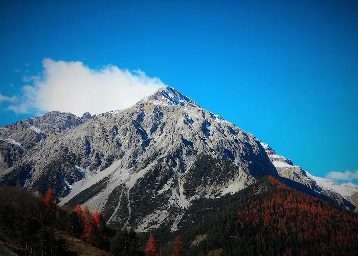 奥林匹克山旅馆 3*